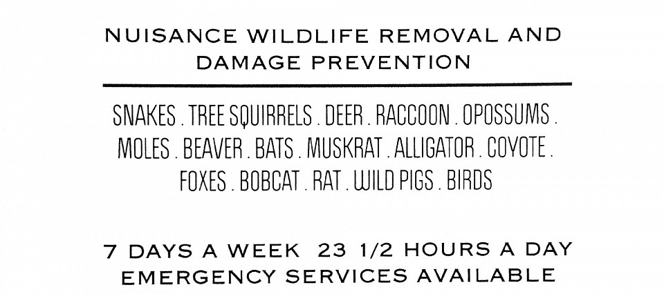 Snakes, squirrels, raccoons, opossums, bats