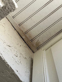 OIL FROM BATS ENTERING ANOTHER HOME IN DEBORDIEU. KNOWING WHAT TO LOOK FOR AND YEARS OF EXPERIENCE IS AN ABSOLUTE MUST AND KEY WITH ANY BAT ISSUES! WE ARE THE ONLY CERTIFIED BAT SPECIALIST IN THE AREA AND HAVE SAVED DOZENS OF HOMEOWNERS AND HOMES EVERY YEAR FROM THE DAMAGE AND DISEASES BATS BRING WHEN THEIR COLONIES ENTER HOMES THROUGH EVEN THE VERY SMALLEST POINT OF ENTRY.