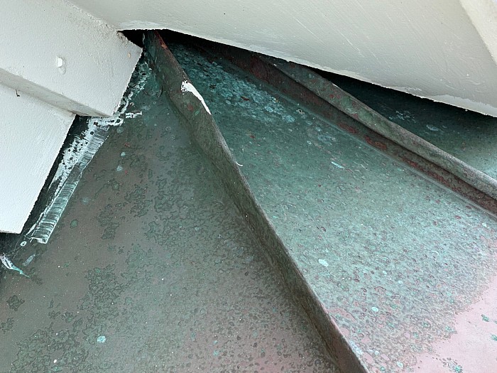 Don’t let openings along your home’s eaves and roof lines provide entry for unwanted wildlife such as bats and squirrels to enter through and make the inside of your home their own. Prevention is key to keeping the inside of your home free from unwanted wildlife that not only bring destruction to both the interior and exterior of your home by chewing water lines, electrical lines, walls, ceilings and insulation throughout your home but they also bring in pest such as fleas, ticks, mites, bedbugs and harmful diseases to humans and pets. Bats are also carriers of the rabies virus which is deadly to both humans and pets without undergoing immediate treatment.