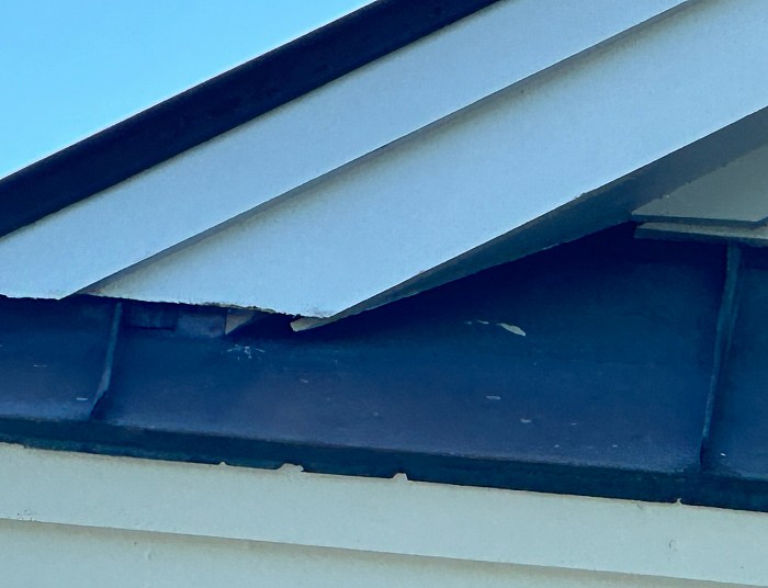 Openings like the one above where the the wood on this corner on this house leaves a gap between itself and the metal roof that has allowed a bat colony to enter and live inside the attic of this home. Feces and urine from the bats not only creates a horrible odor and health concern inside the home it also gathers and soaks into the wood and building materials used to build and complete this home and ultimately compromise their integrity and erode causing further costly damage to remove the damage and rotted areas caused by the bats that were able to enter through this small gap on this home. You can prevent this and many other similar issues like this by calling us to inspect your home and add wildlife exclusion in these areas and any other areas we find that any wildlife critters are capable of entering your home. Prevention is always less expensive than waiting until your home has already been invade by nuisance wildlife such as bats and squirrels that require locating and removing, repairing and then installing wildlife exclusion to the home to prevent the critters from entering again.